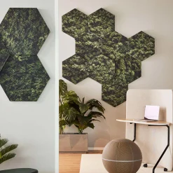 Honey Moss print EcoSUND 6 stk.