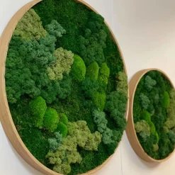 Mosbillede Mosmix 013 Ø50 cm