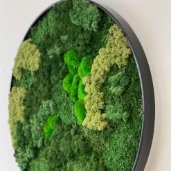 Mosbillede Mosmix 013 Ø50 cm