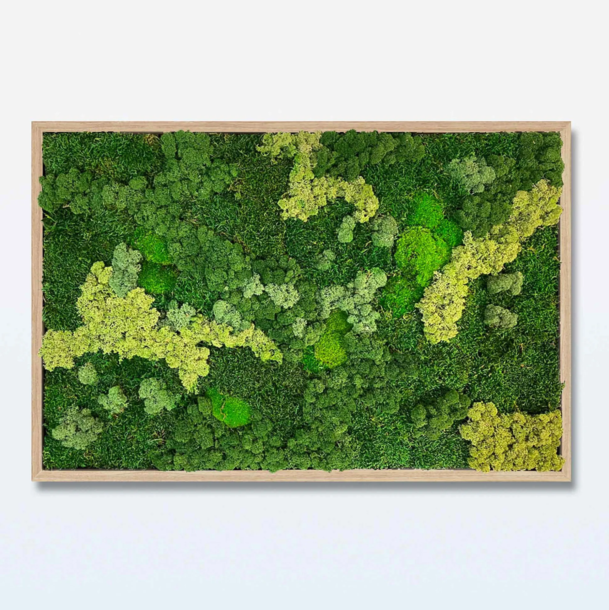 Mosbillede Mosmix 013 70x50 cm