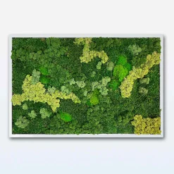 Mosbillede Mosmix 013 120x90 cm