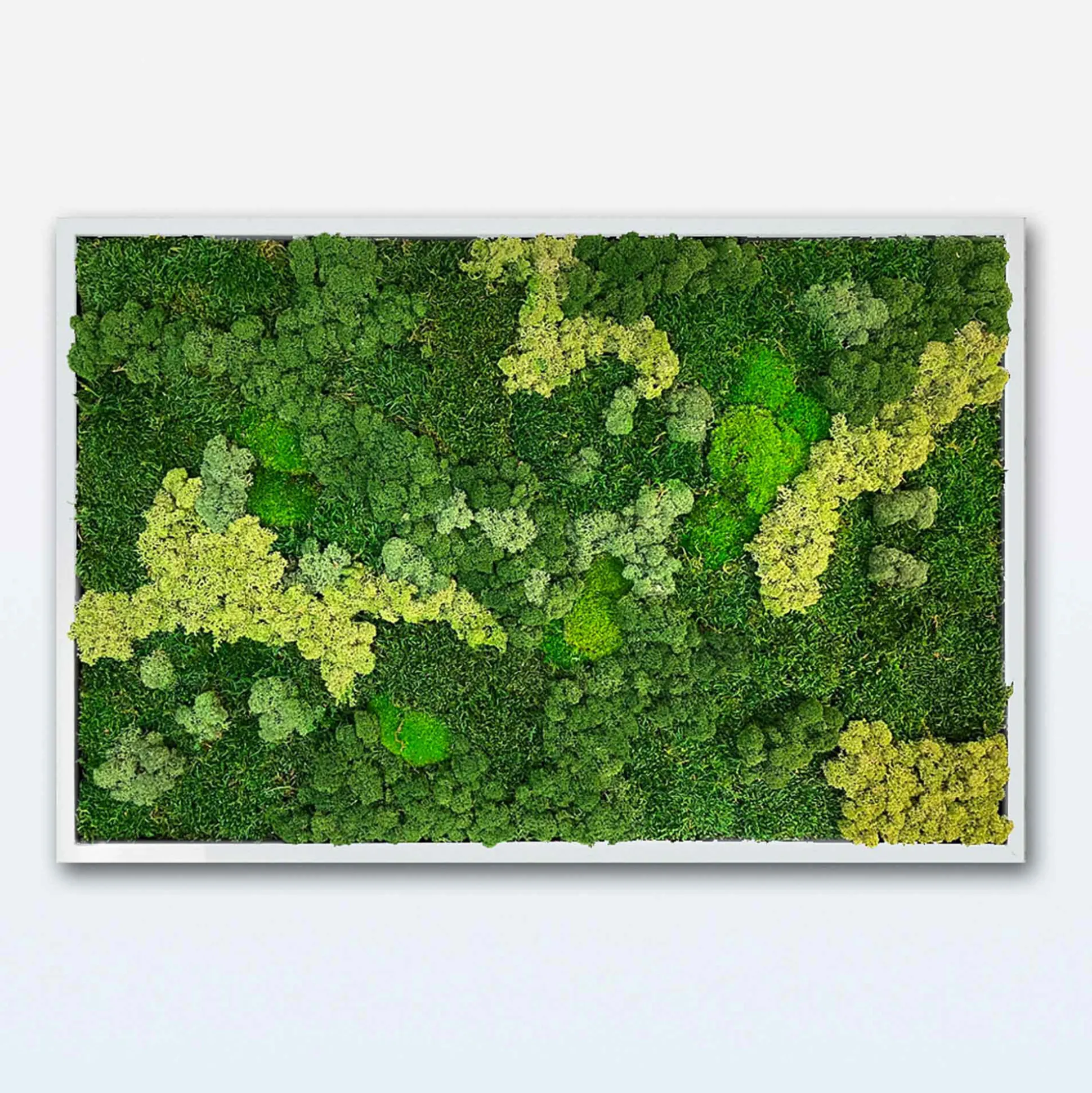 Mosbillede Mosmix 013 120x90 cm