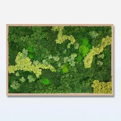 Mosbillede Mosmix 013 120x90 cm