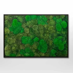 Mosbillede Mosmix 006 70x50 cm