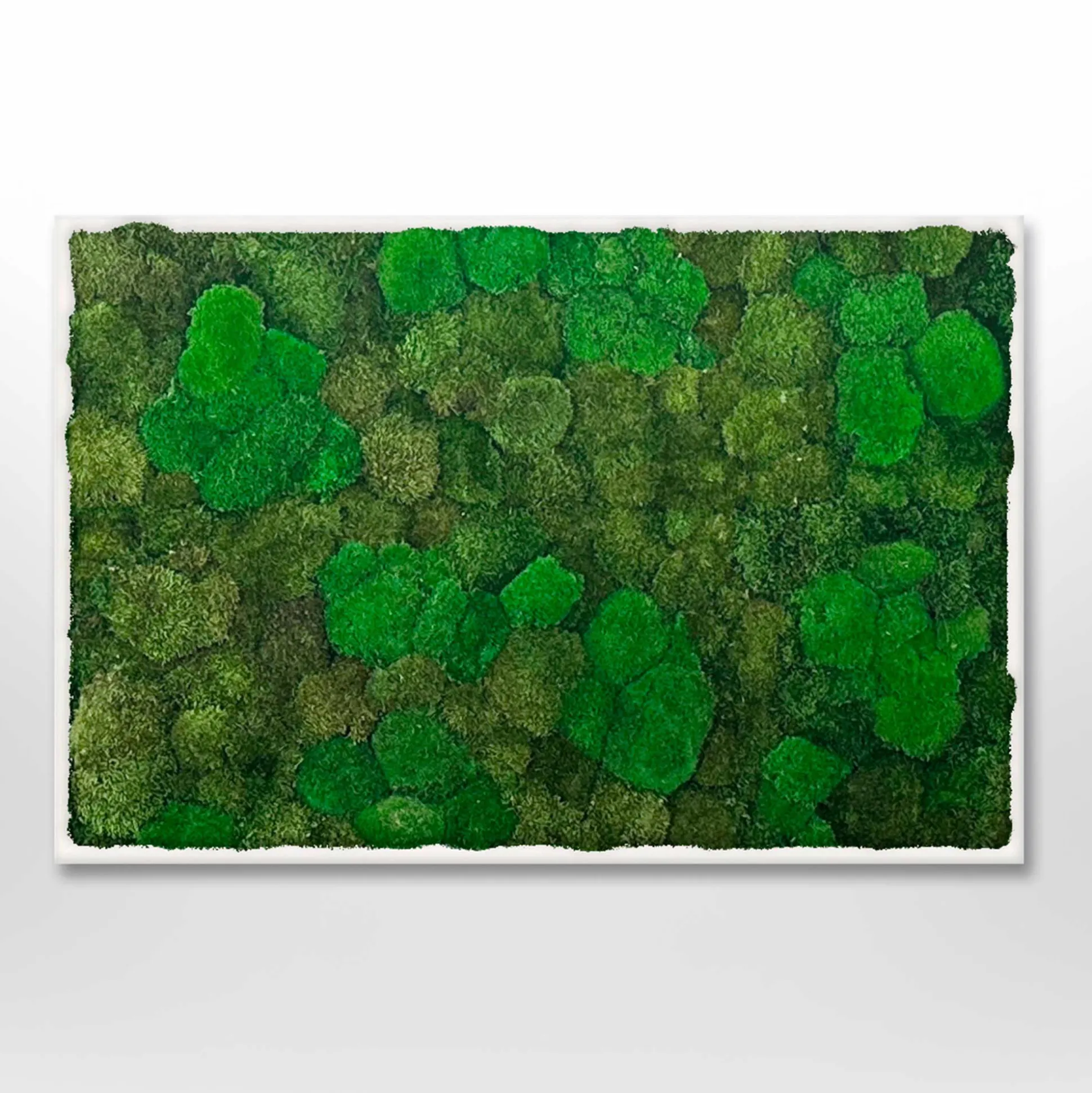 Mosbillede Mosmix 006 70x50 cm