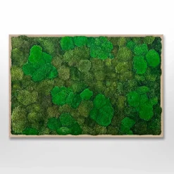 Mosbillede Mosmix 006 70x50 cm