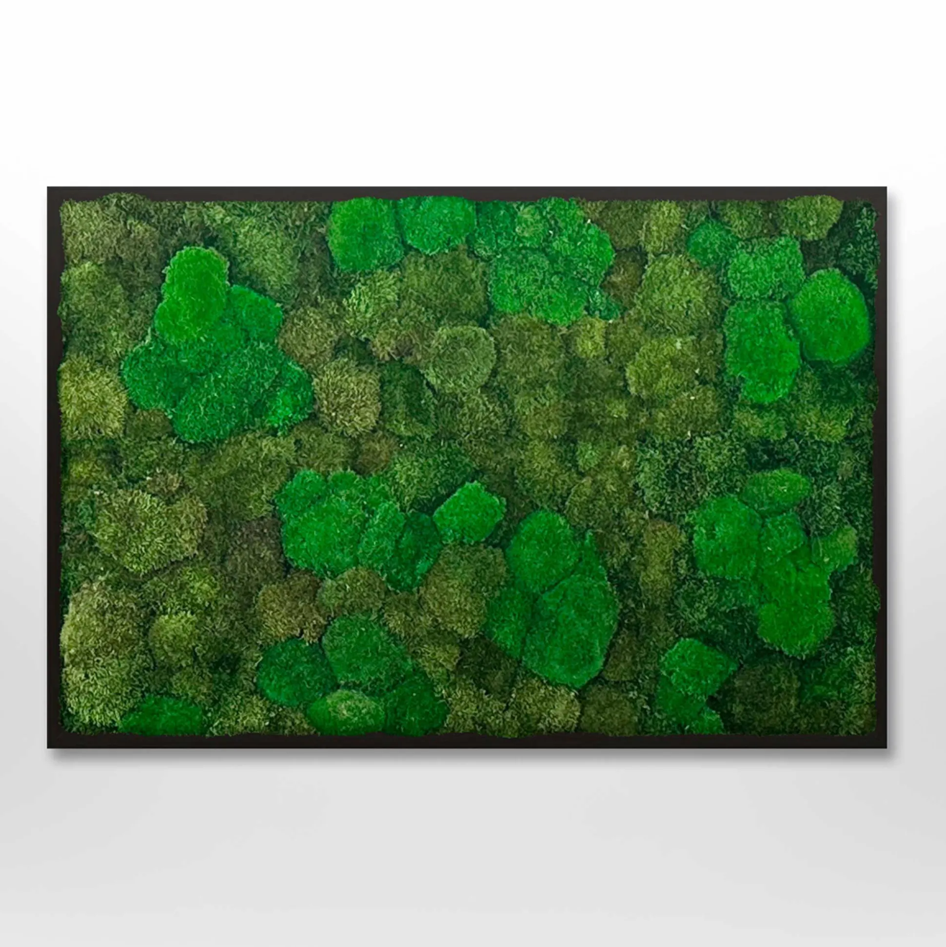 Mosbillede Mosmix 006 180x120 cm