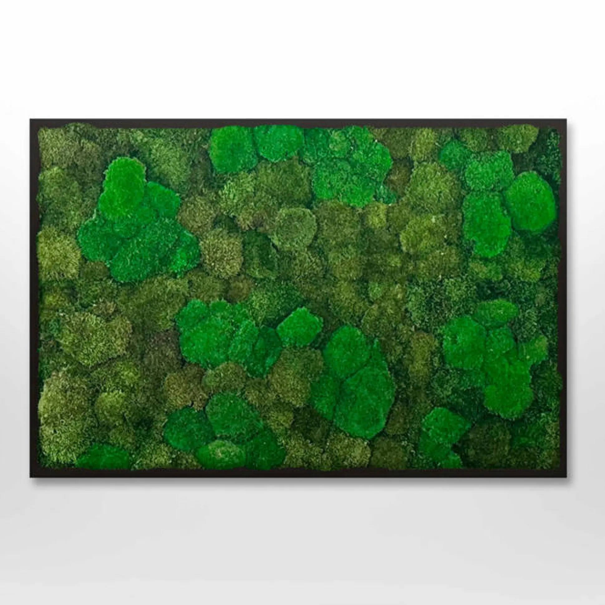 Mosbillede Mosmix 006 180x120 cm