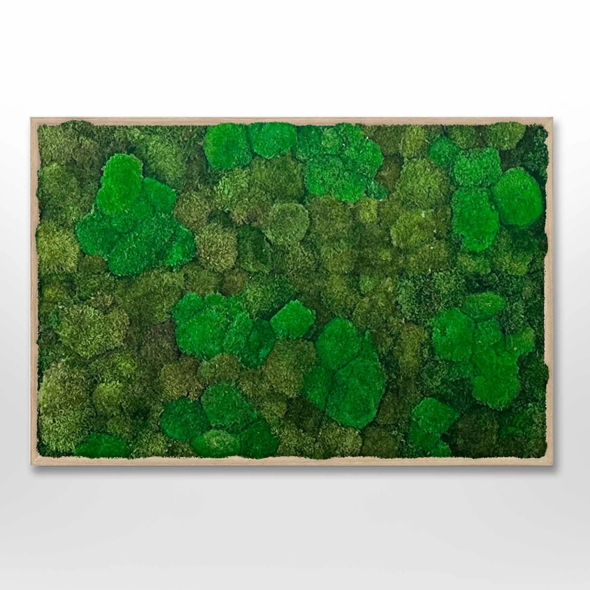 Mosbillede Mosmix 006 180x120 cm