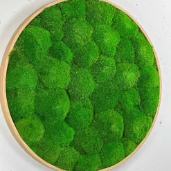 Mosbillede pudemos Ø30 cm