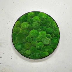 Mosbillede pudemos Ø50 cm