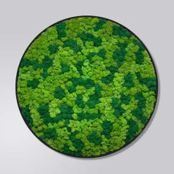 Mosbillede rensdyrmos Ø30 cm