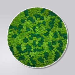 Mosbillede rensdyrmos Ø80 cm