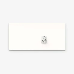 Whiteboard tavle Lintex AIR 249x119 cm, hvid